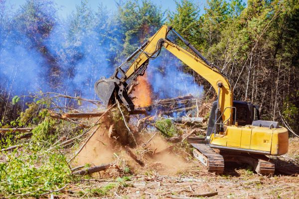 Manassas Land Clearing